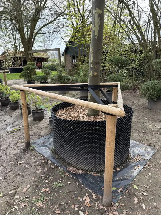 Boompaal vuren 250cm Ø7cm